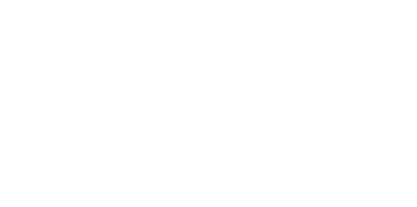 Nationale Jongerenraad Logo